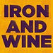 Iron & Wine at the Ritz