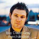 Buy David Gray merchandise 