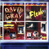 David Gray - Flesh