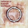 michael McGoldrick & Capercaillie - Beautiful Wasteland