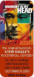 Harmony In my Head - the original buzzcock: steve diggle's rock'n'roll odyssey by terry rawlings with foreword by john cooper clarke