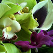 Floreat Flower Workshop Lunch in Manchester tickets
