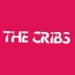 The Cribs with Johnny Marr in Manchester