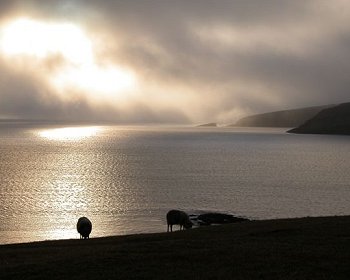 View from Porkeri