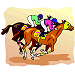 Horse Racing Websites