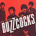 Buzzcocks in Manchester