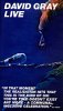 David Gray - Live at The Point