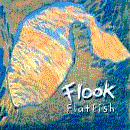 Buy Flook's debut album