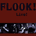 Michael McGoldrick and Flook - Live