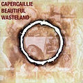 Capercaillie featuring Michael McGoldrick - Beautiful Wasteland