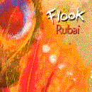 Buy the latest Flook album Rubia